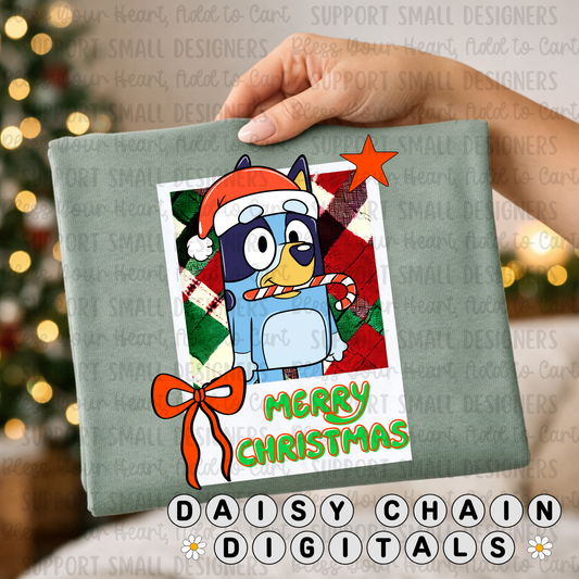 Blue Dog Heeler Christmas - PNG